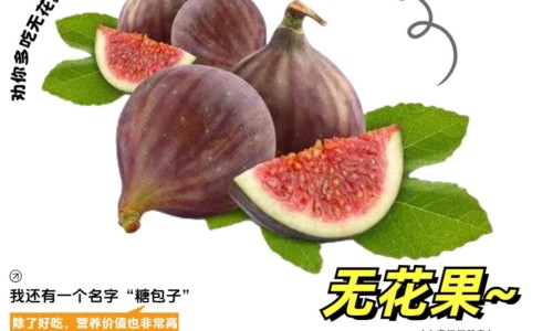 莲藕加梨煮水的功效-莲藕梨子汁的功效网 - 莲藕梨子汁的功效和作用,莲藕加梨榨汁有什么功效